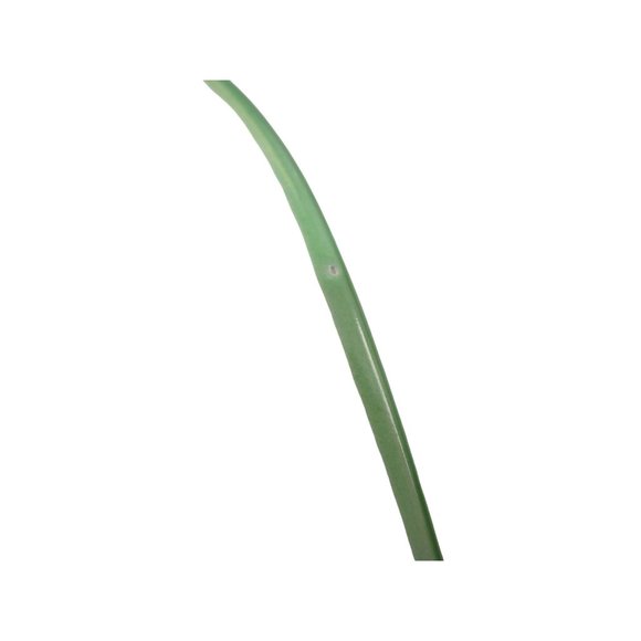 Sacrdy Cat Square Plate by Eli and Ana Handmade Ceramics 2018 GUC - Picture 2 of 12